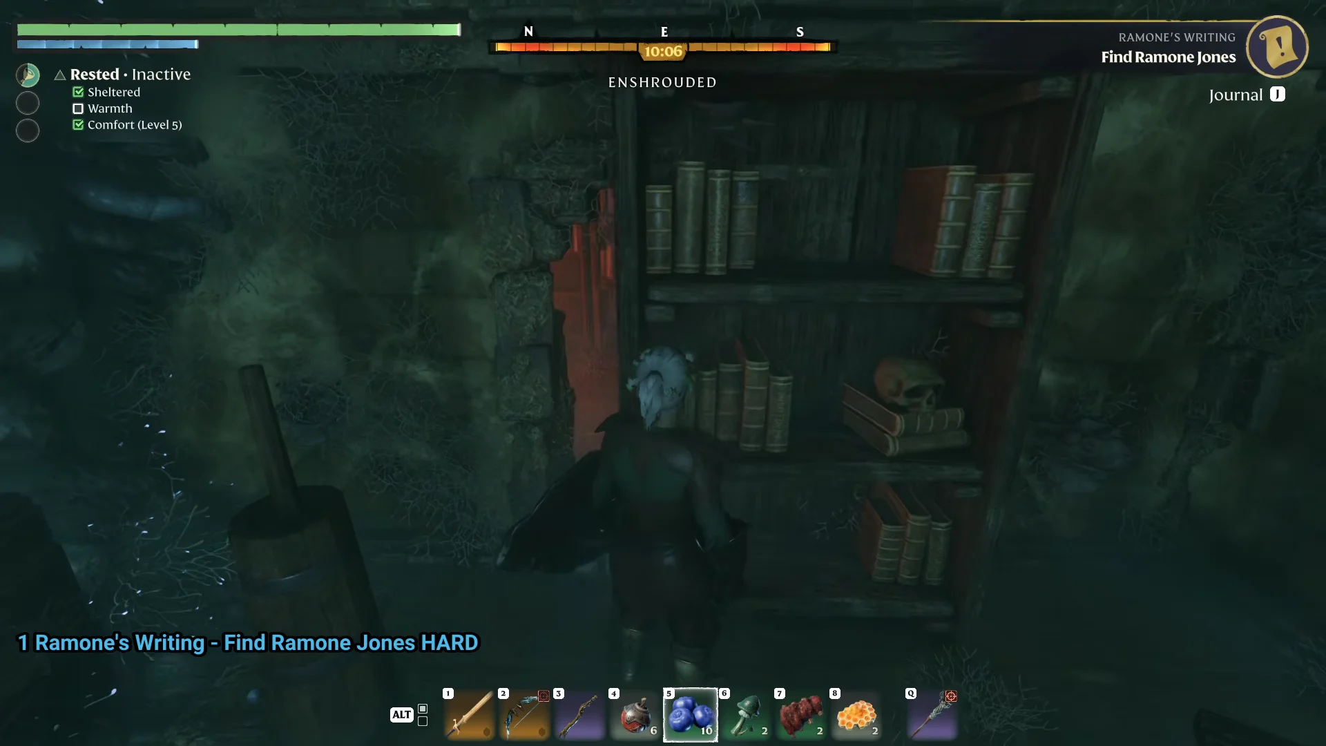 the cellar room with bookshelves
