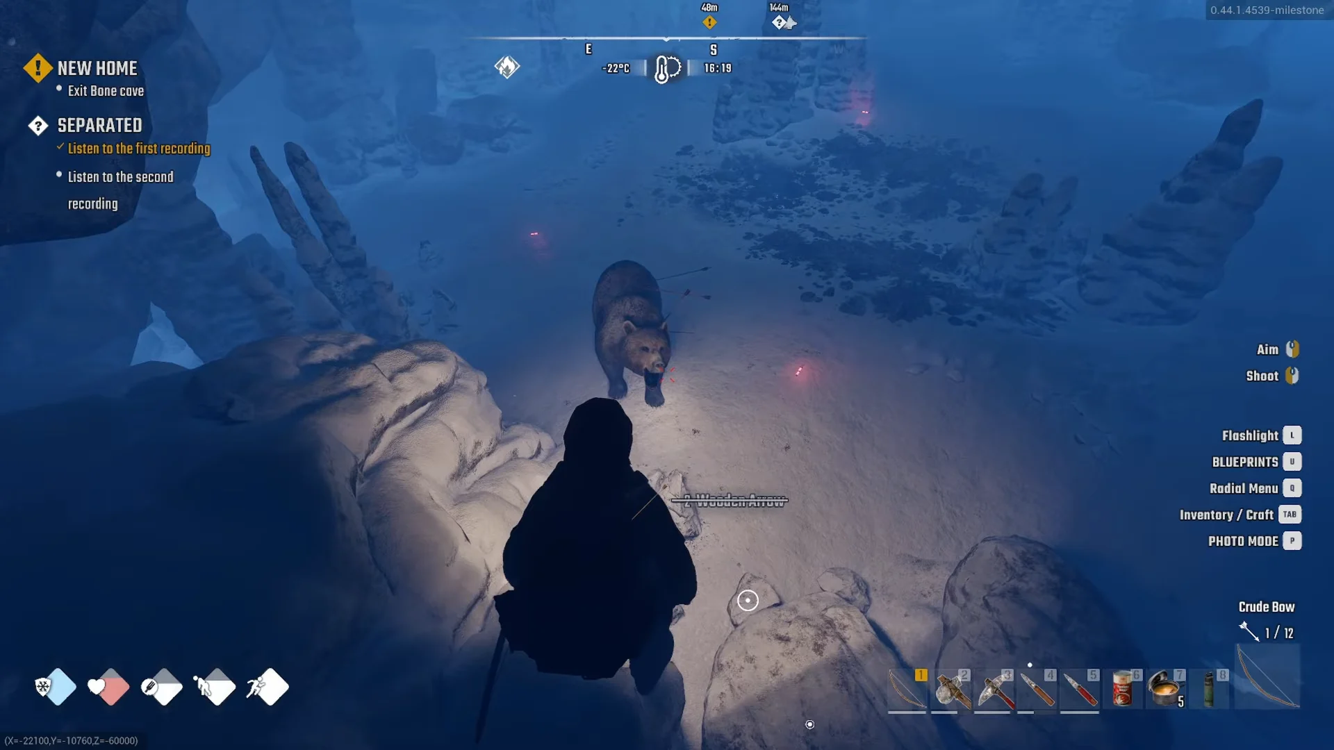 The bear in Bone Cave