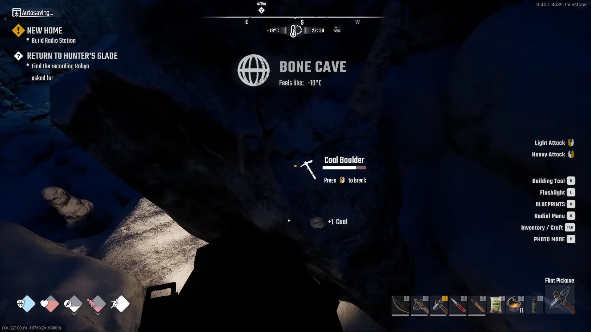 Coal Boulders in Bone Cave