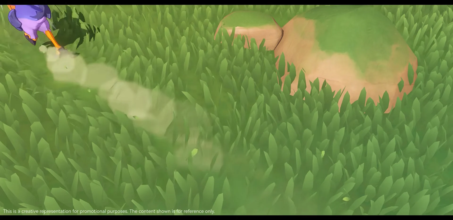 Meadow Encounter