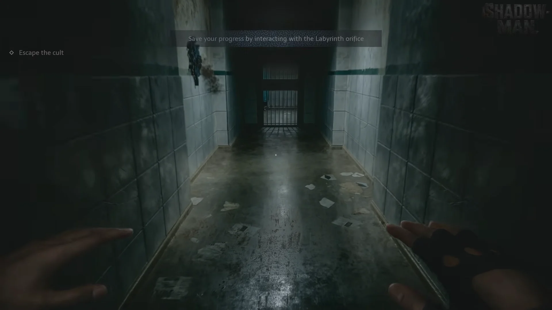 The first save point, a Labyrinth orifice