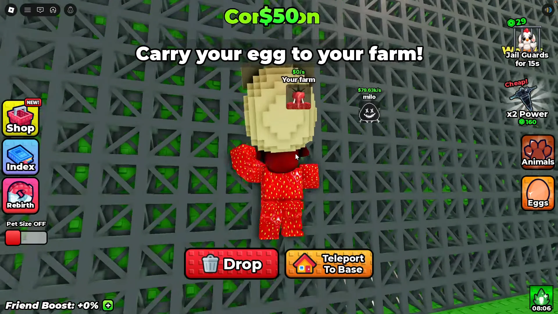 Carrying Common Egg