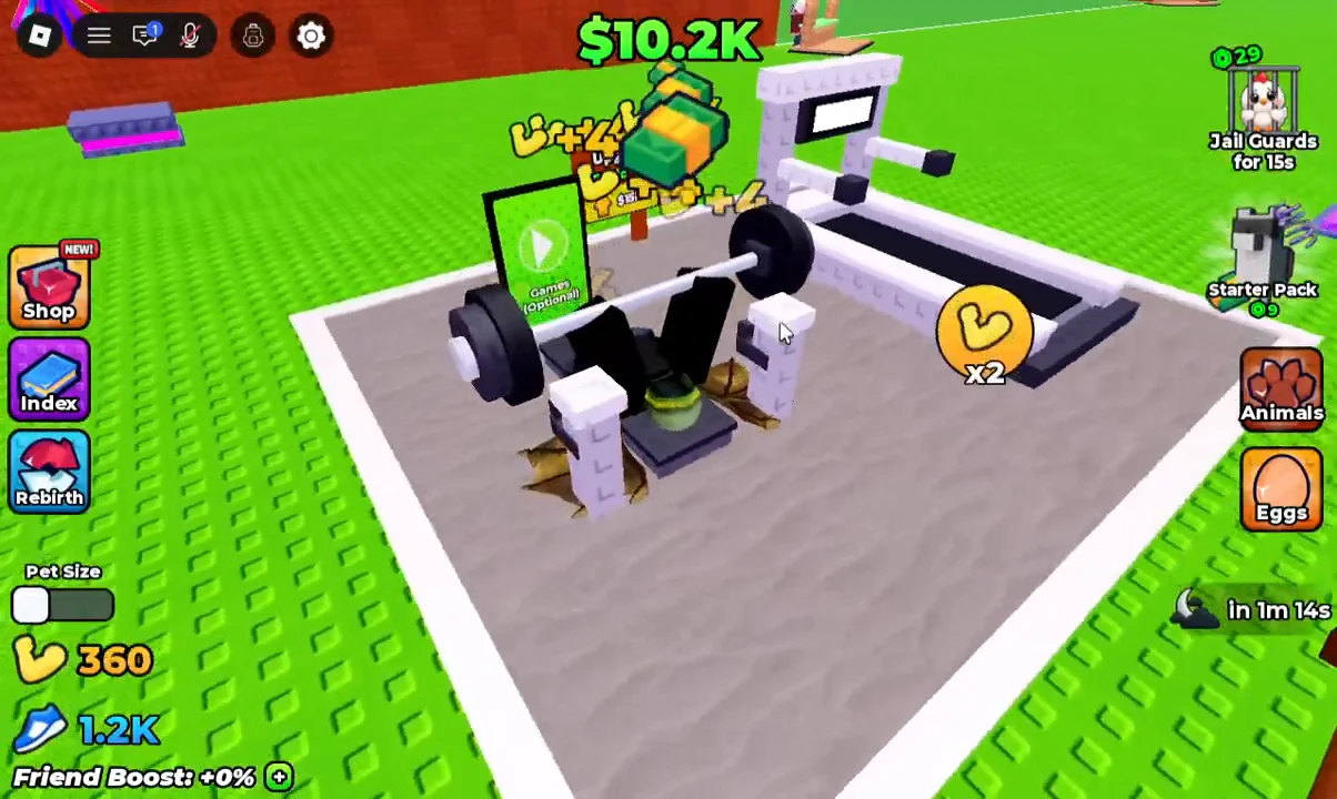 Training Weight Lifting