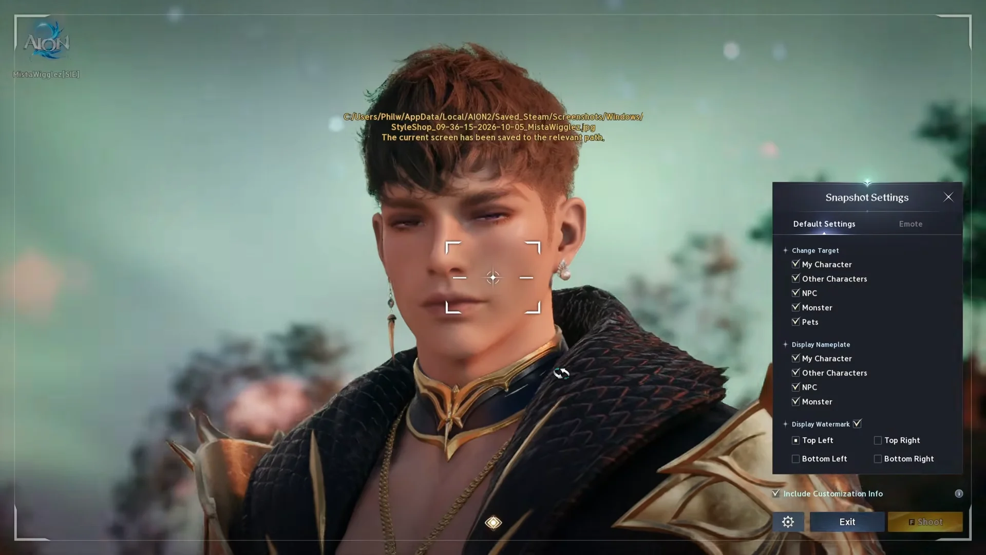 Taking Snapshot In-Game