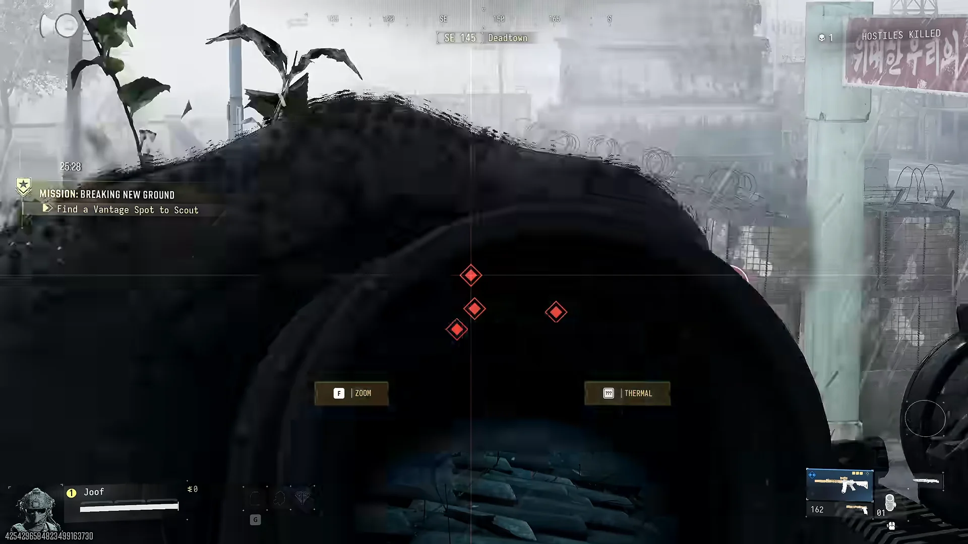 Rooftop vantage spot to scout