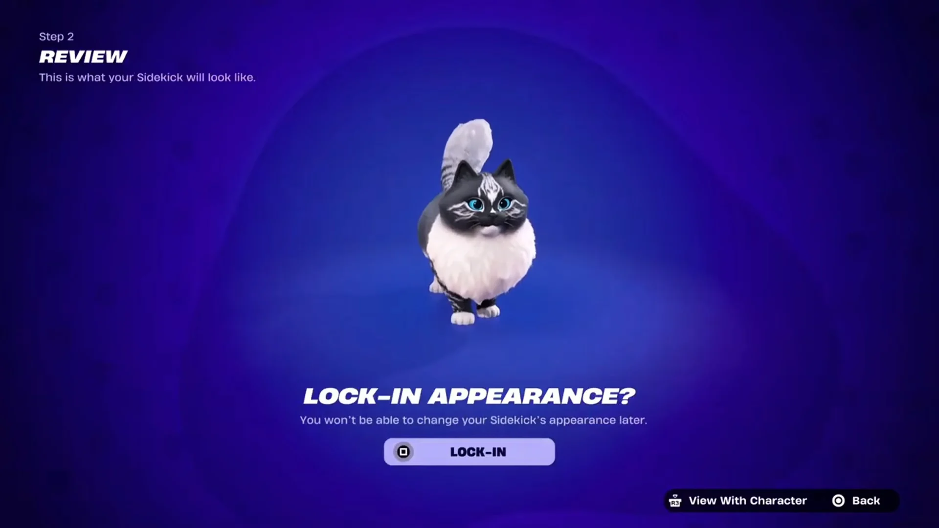 Review u0026 Lock-In