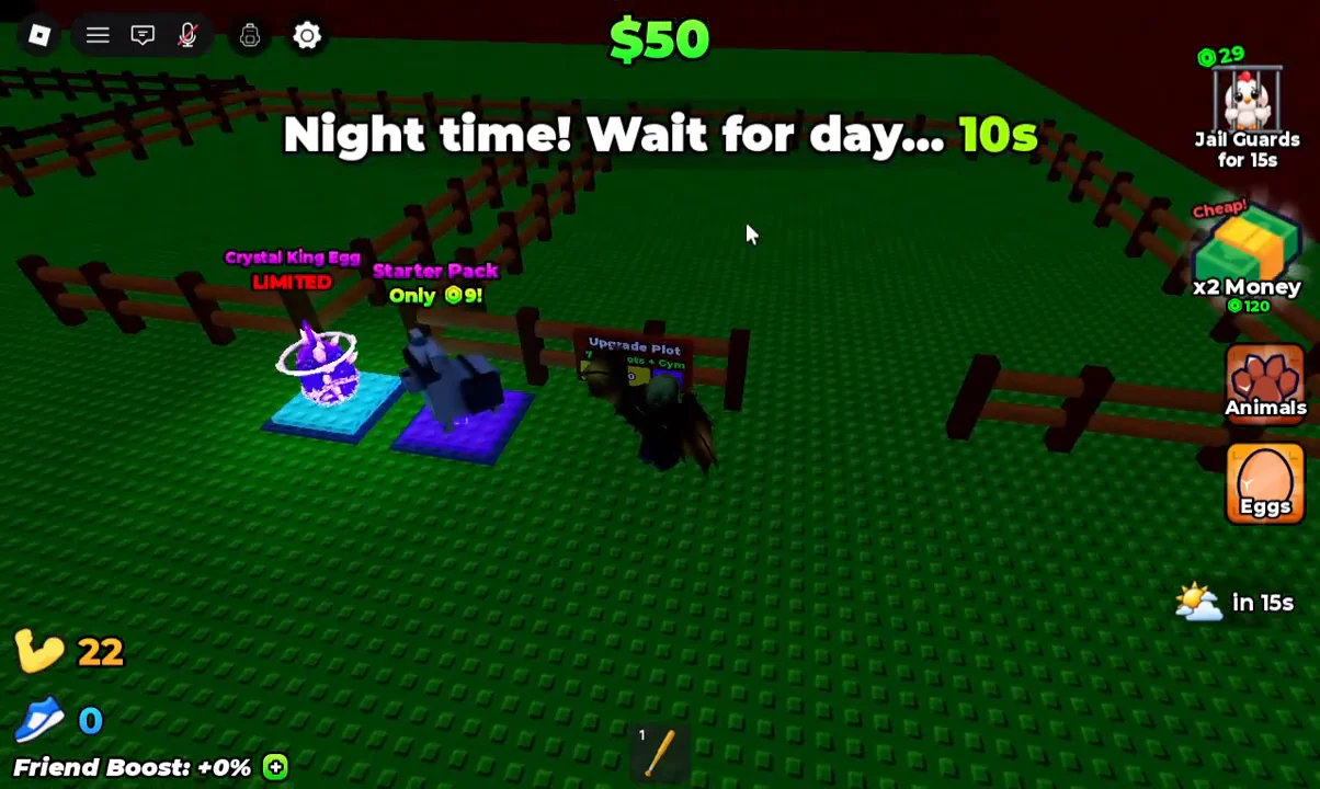 Exploring Plot During Night