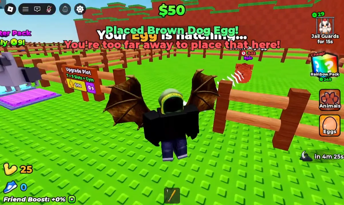 Placing Brown Dog Egg