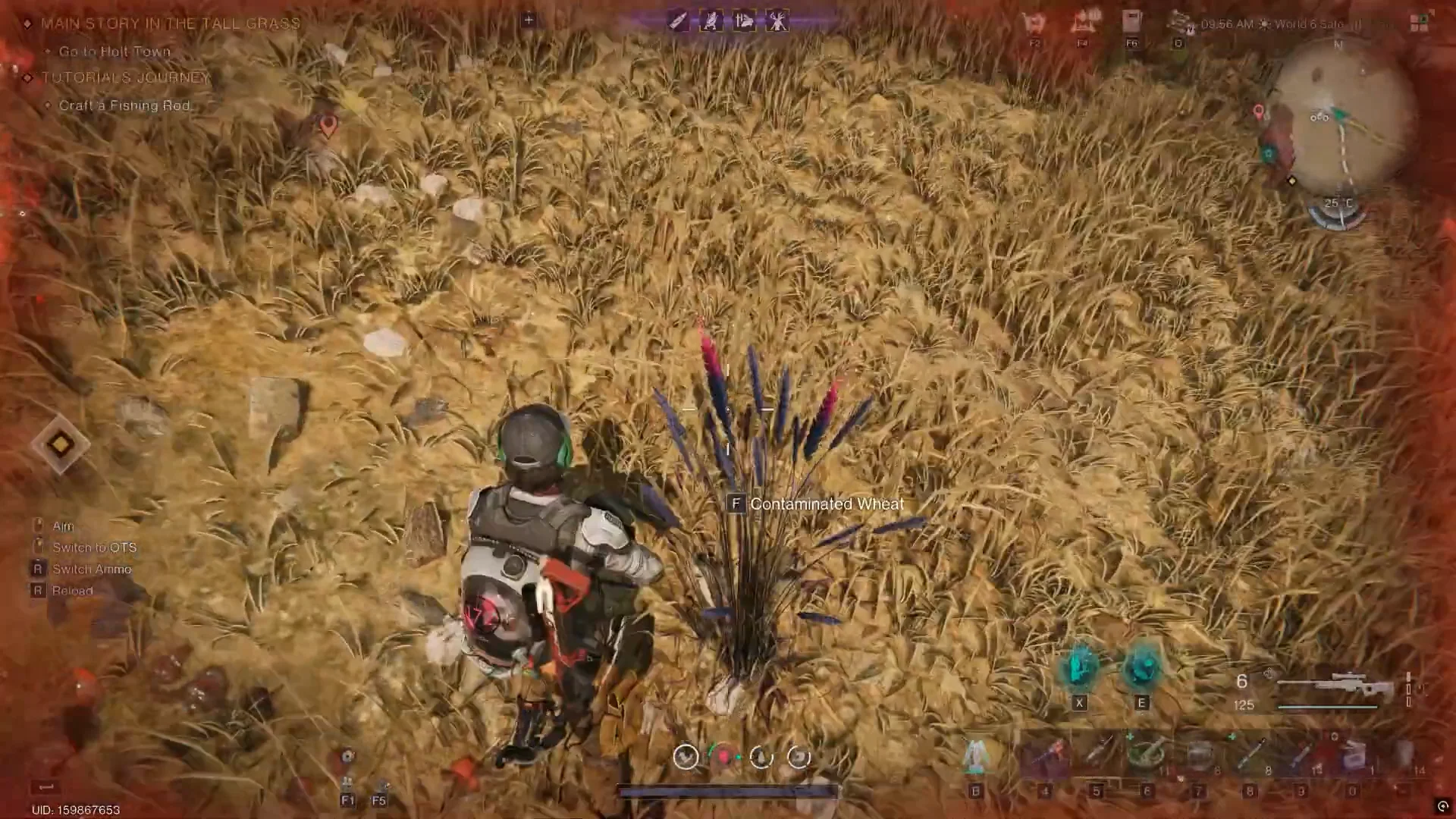Finding and harvesting Contaminated Wheat