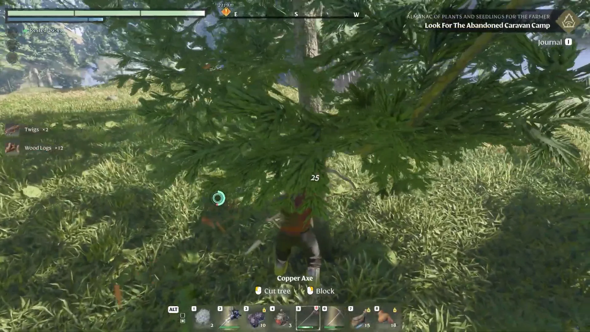 Chopping a tree for Wood Logs