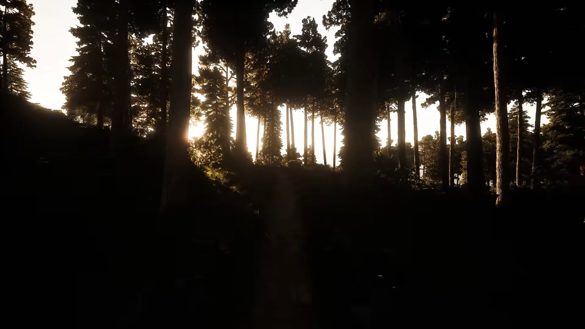The Wilderness