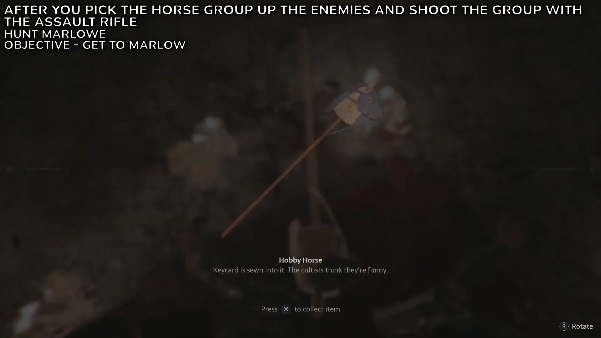 Collecting Hobby Horse