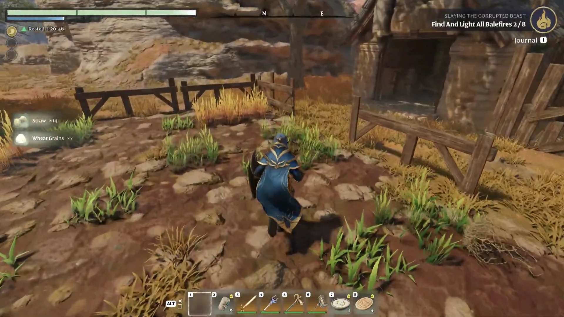 harvesting wheat