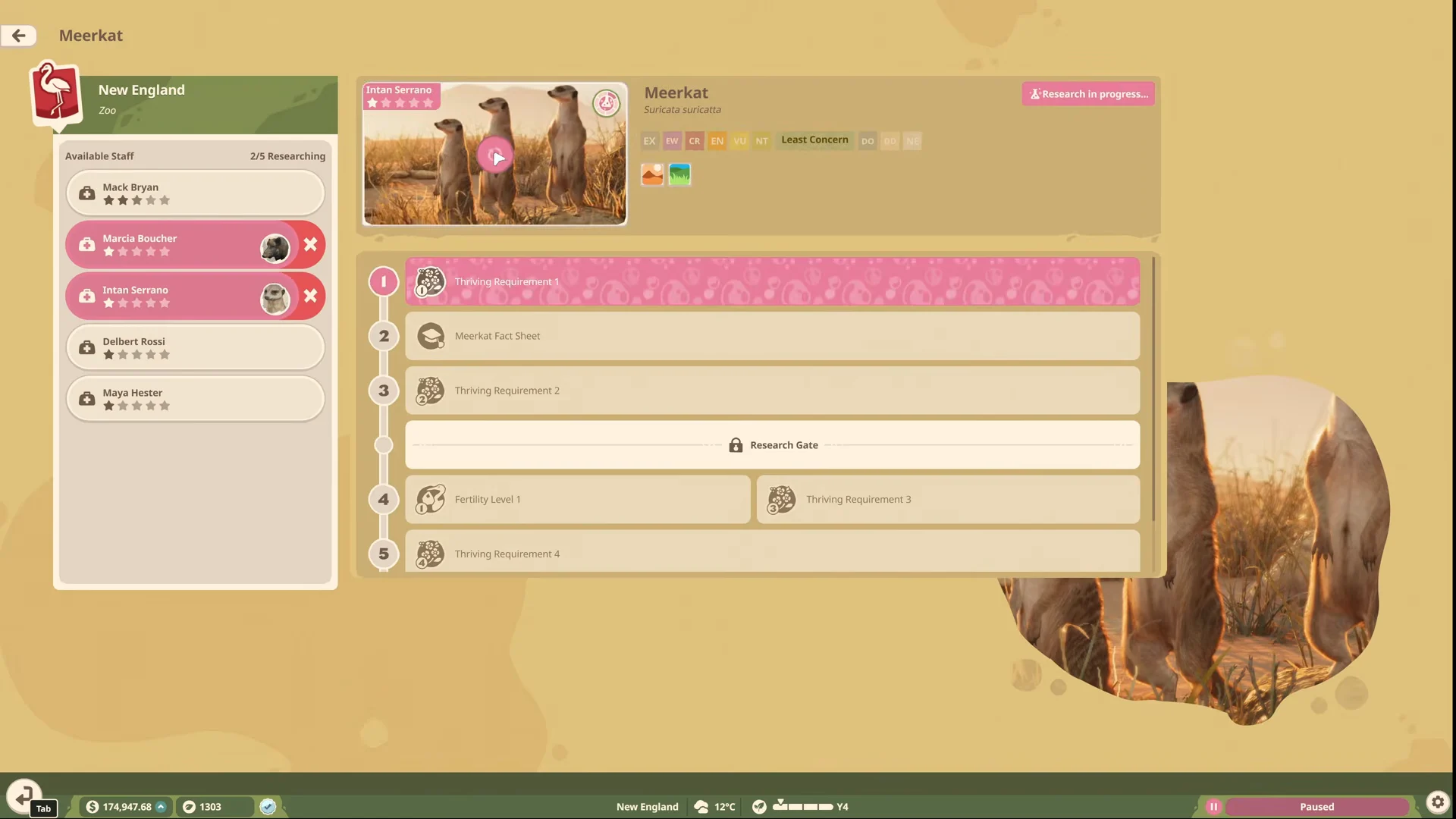 Assigning Staff to Meerkat Research