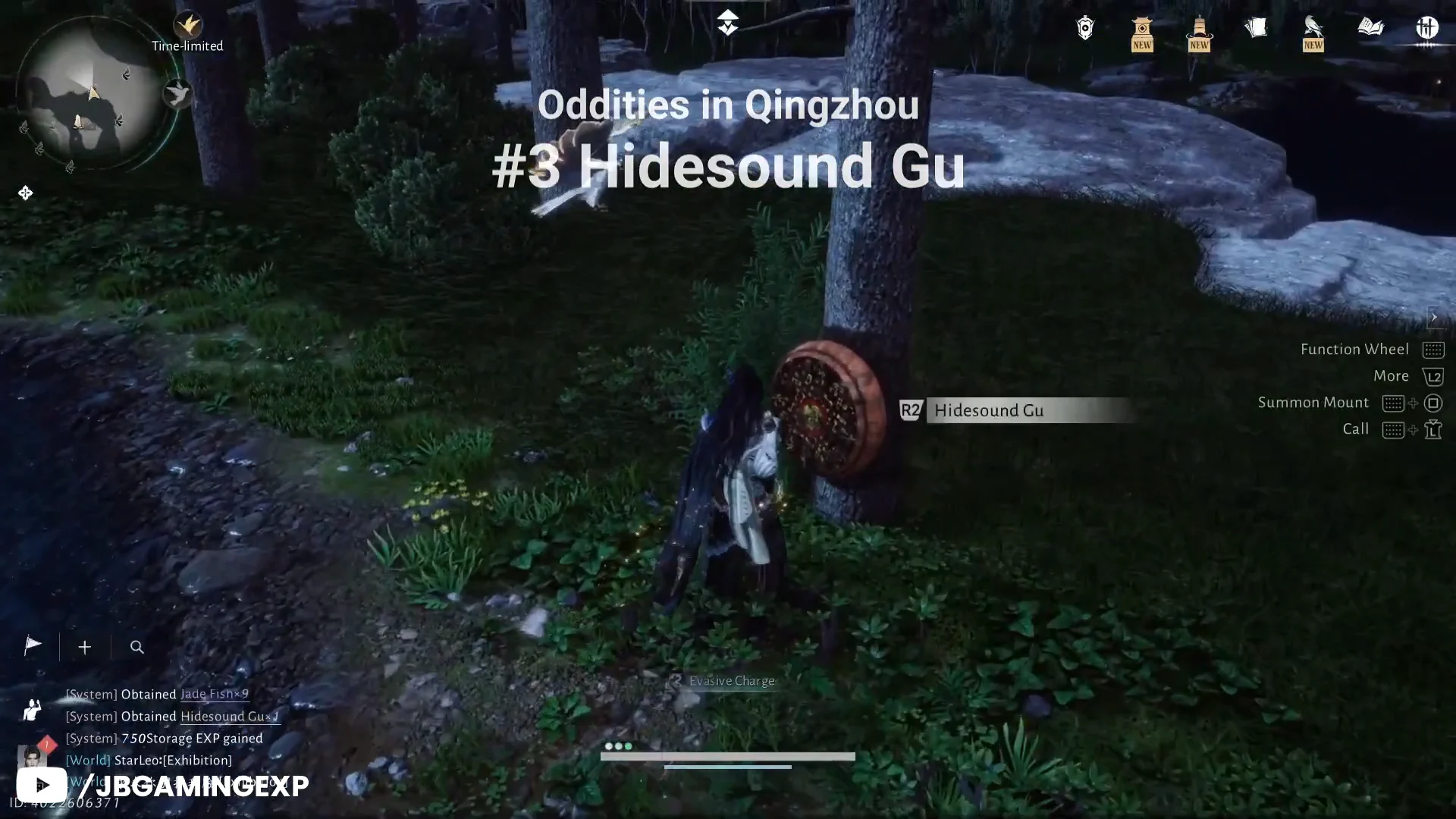 Oddity #3: Hidesound Gu