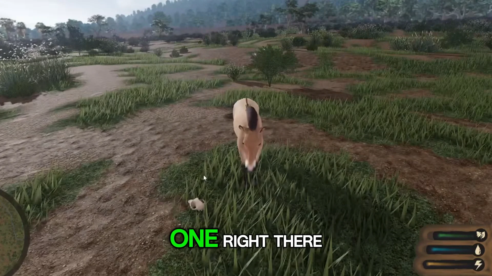 Second Skull Location