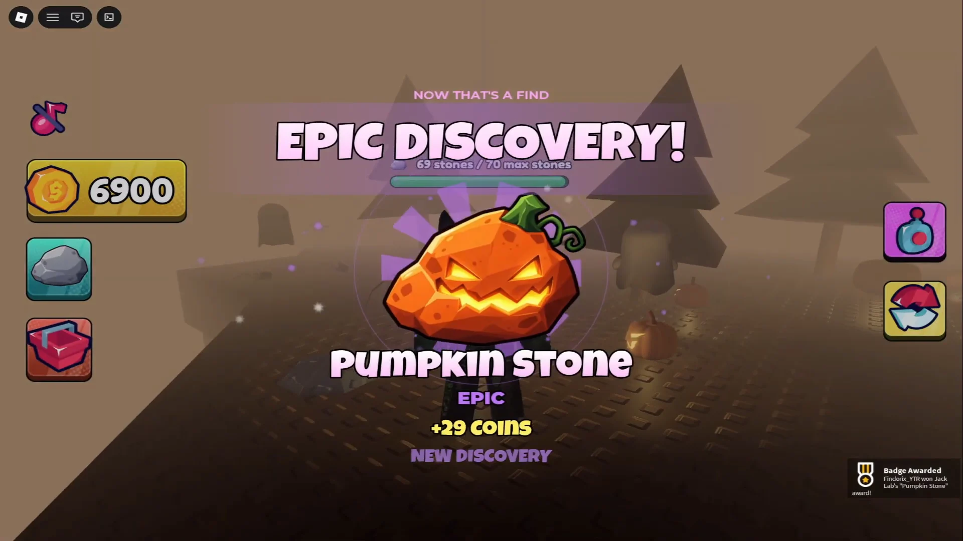 Pumpkin Stone Collection