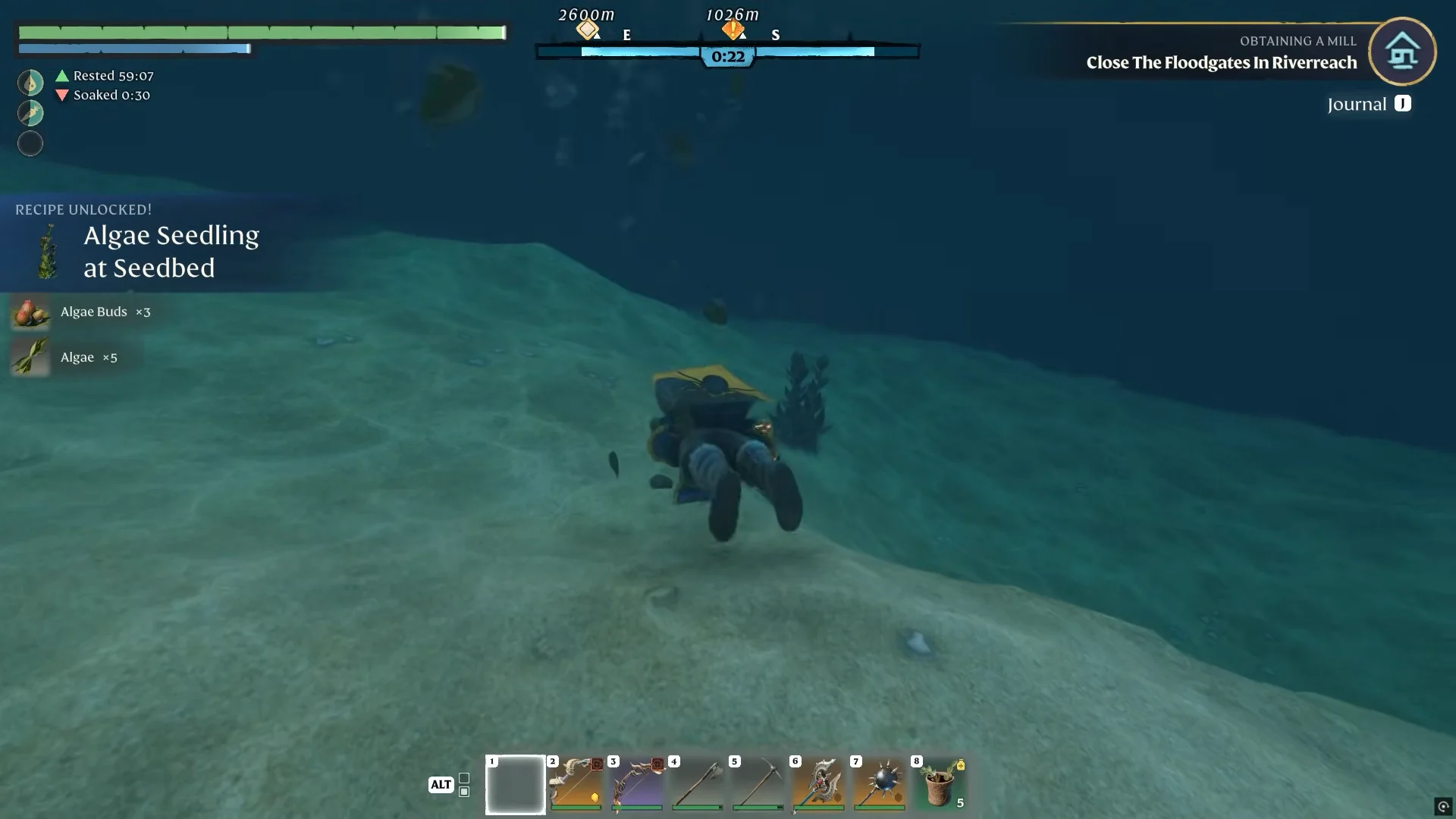 harvesting algae on the bottom
