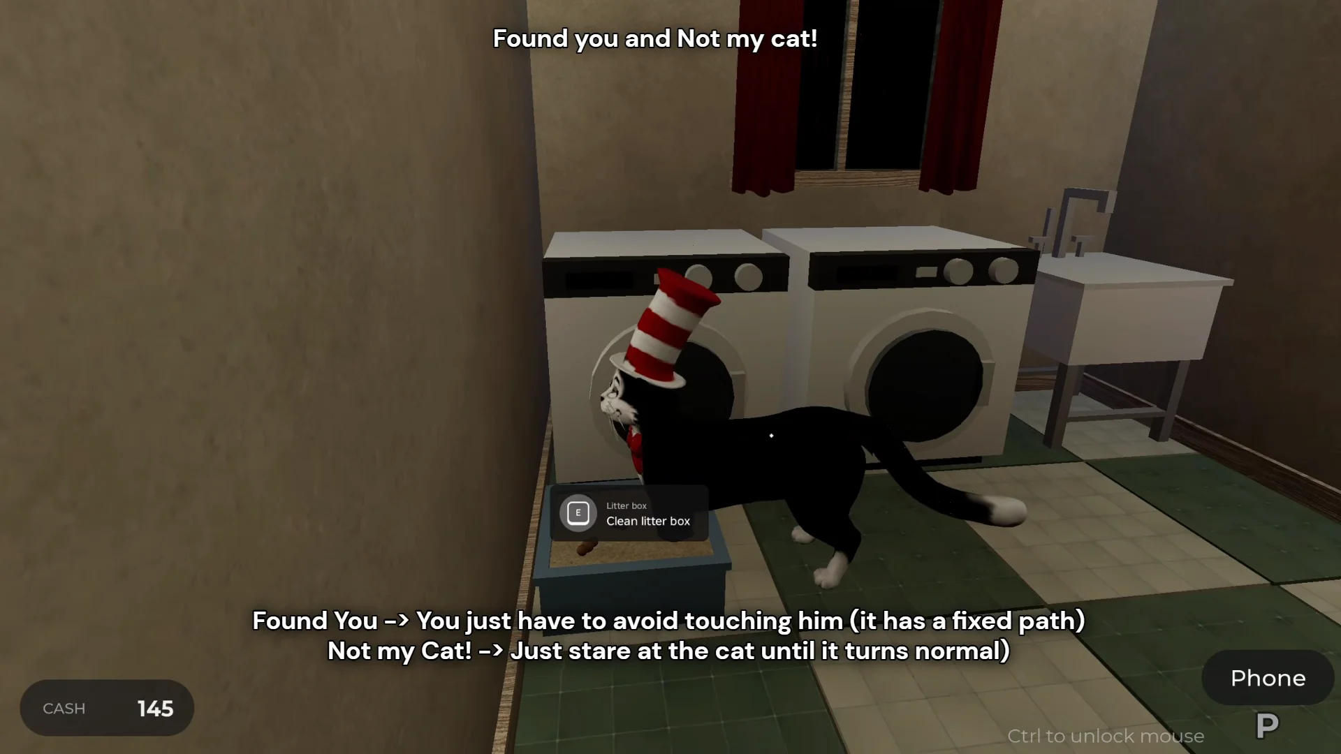 Found You and Not My Cat