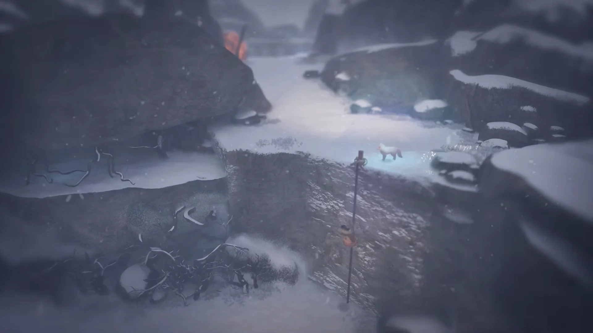 Fox Platforming & Climbing