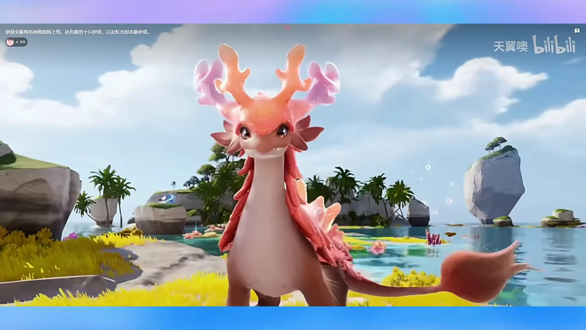 Coral Dragon Visual Showcase