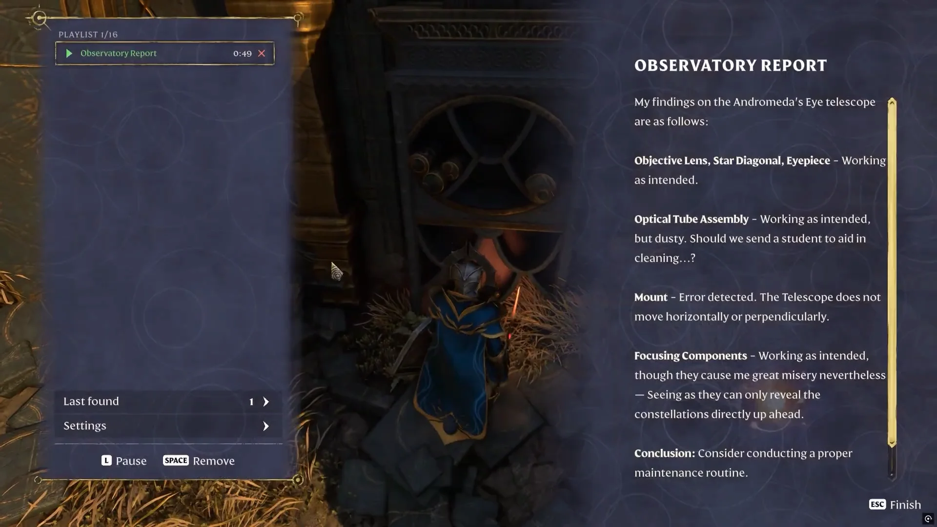 Looting and Reading Observatory Report