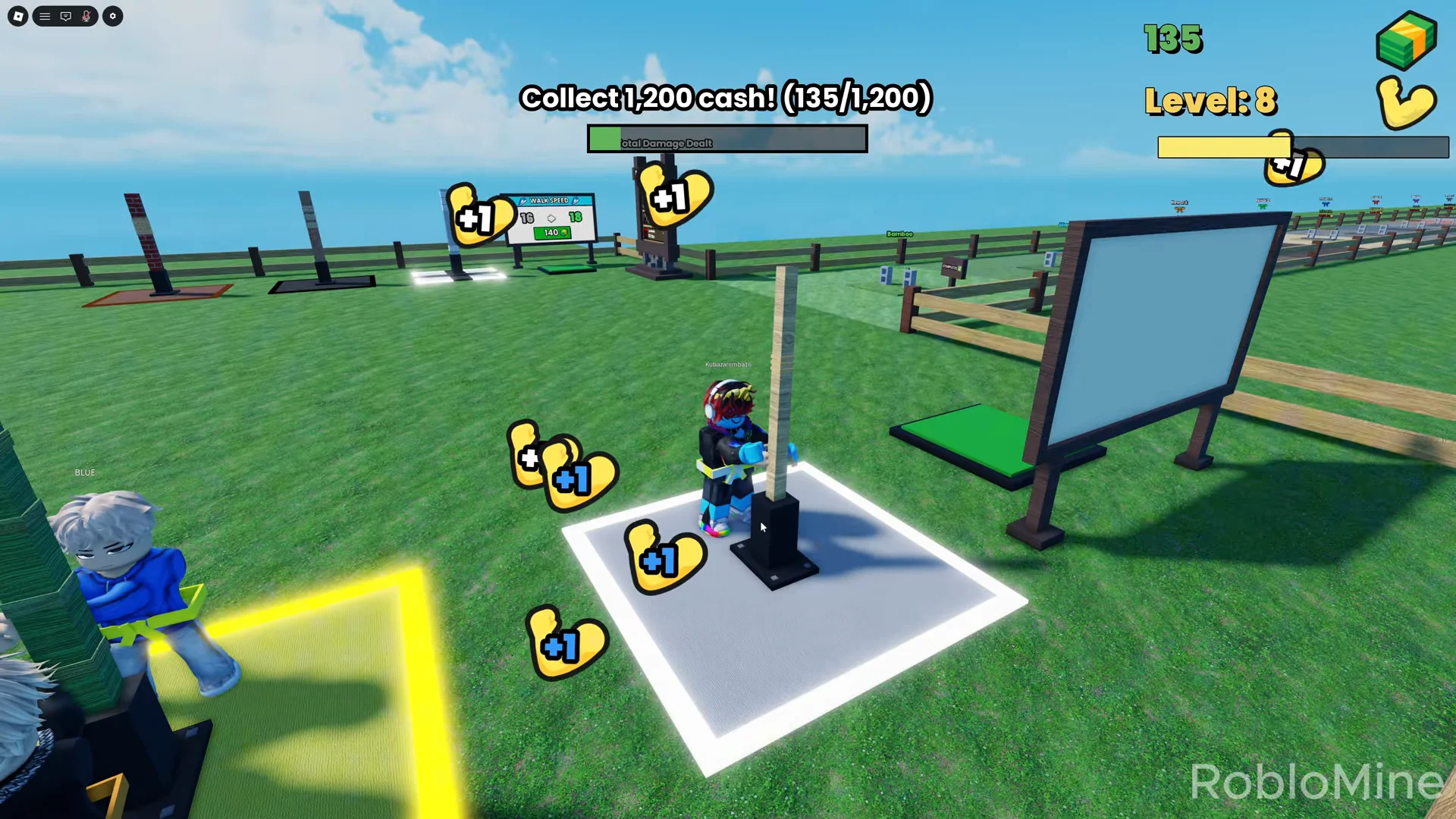 Leveling up on Makiwara