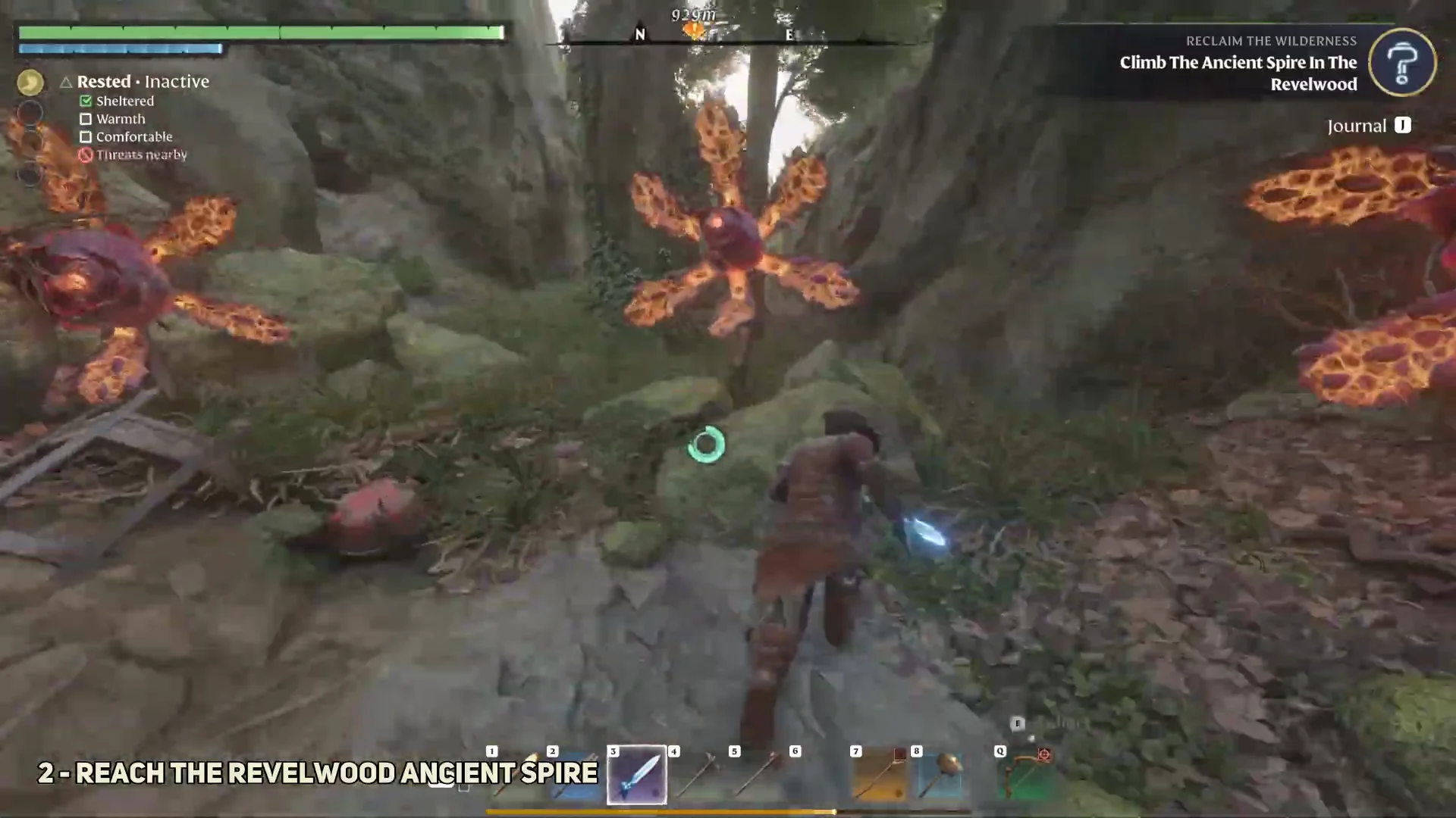 Journey to Revelwood Ancient Spire
