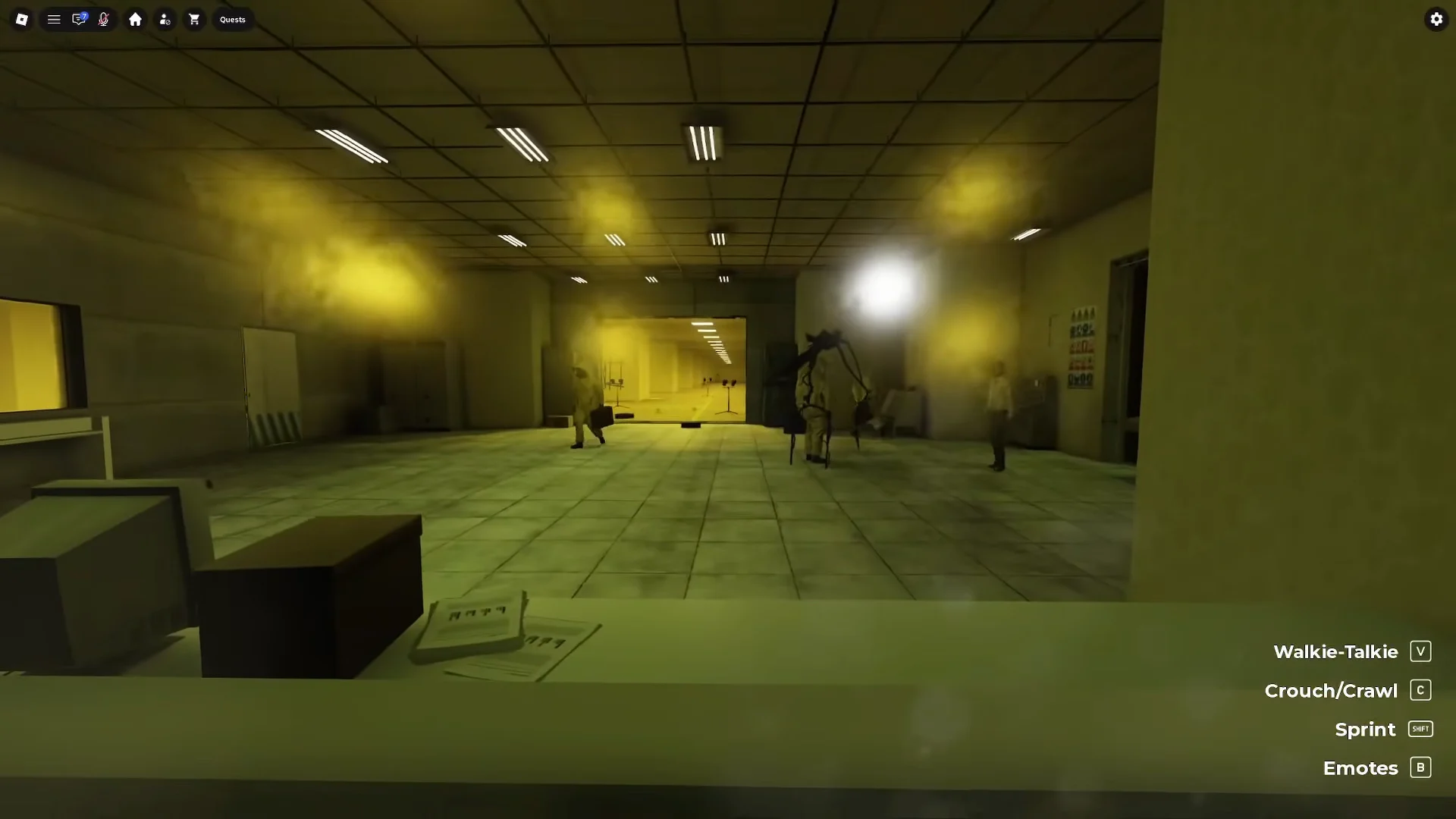 Entity Attack at Observation Window