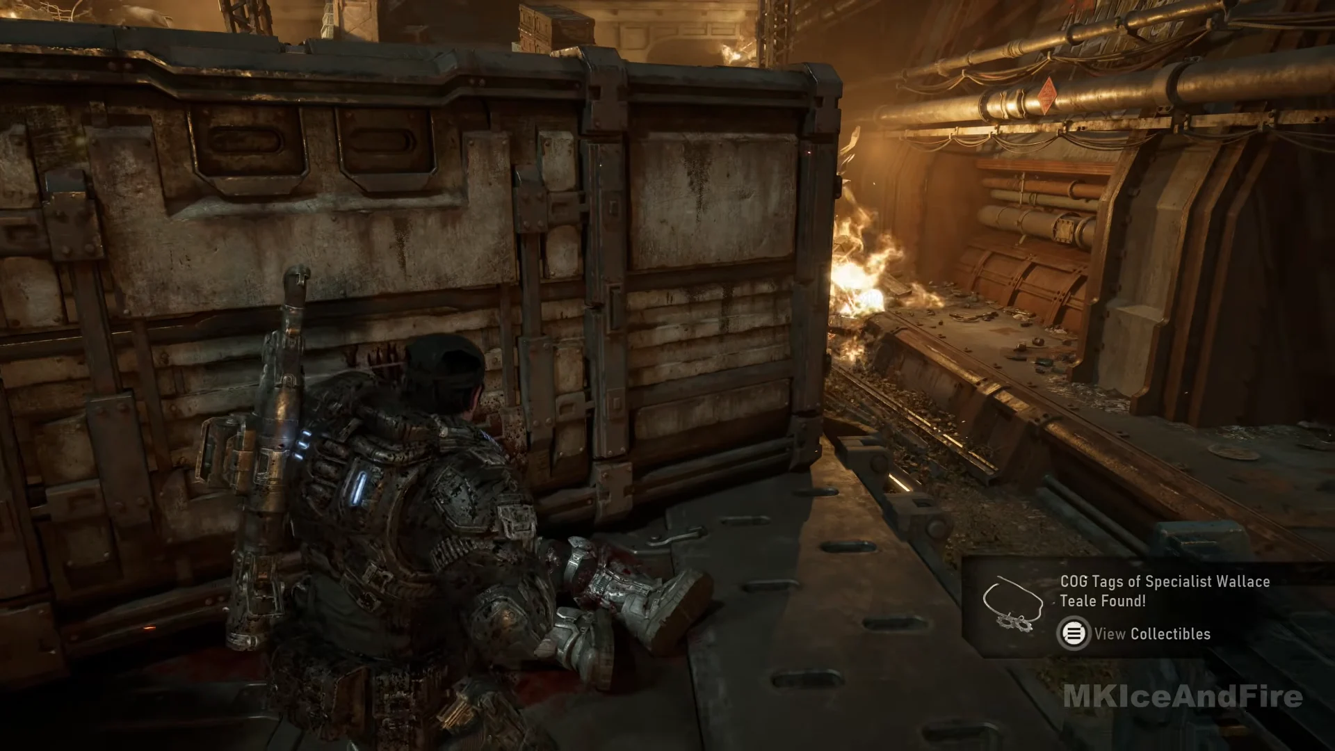 Teale's COG tags at the container