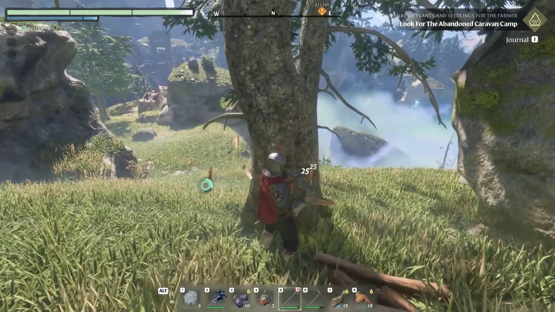 Chopping a tree with the axe