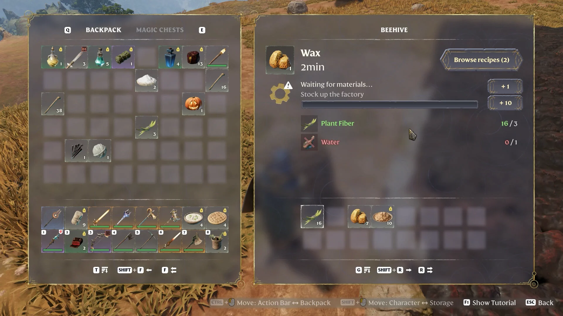 placed Honey Beehive