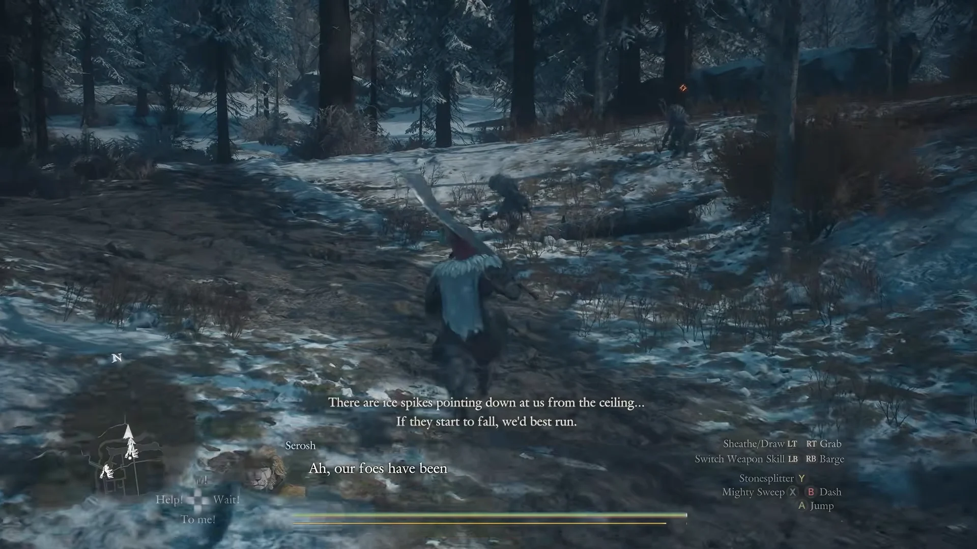 Snowy forest encounter