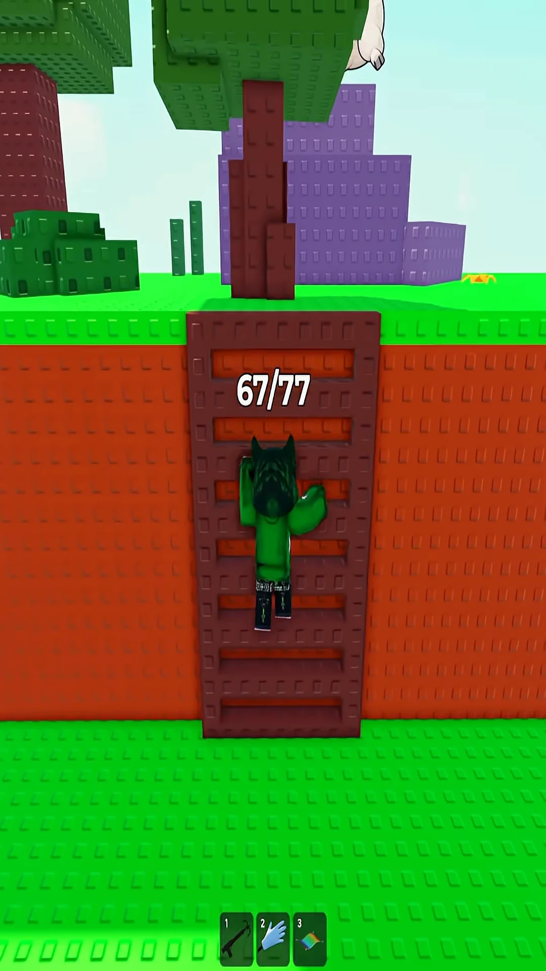 Climbing the wall ladder