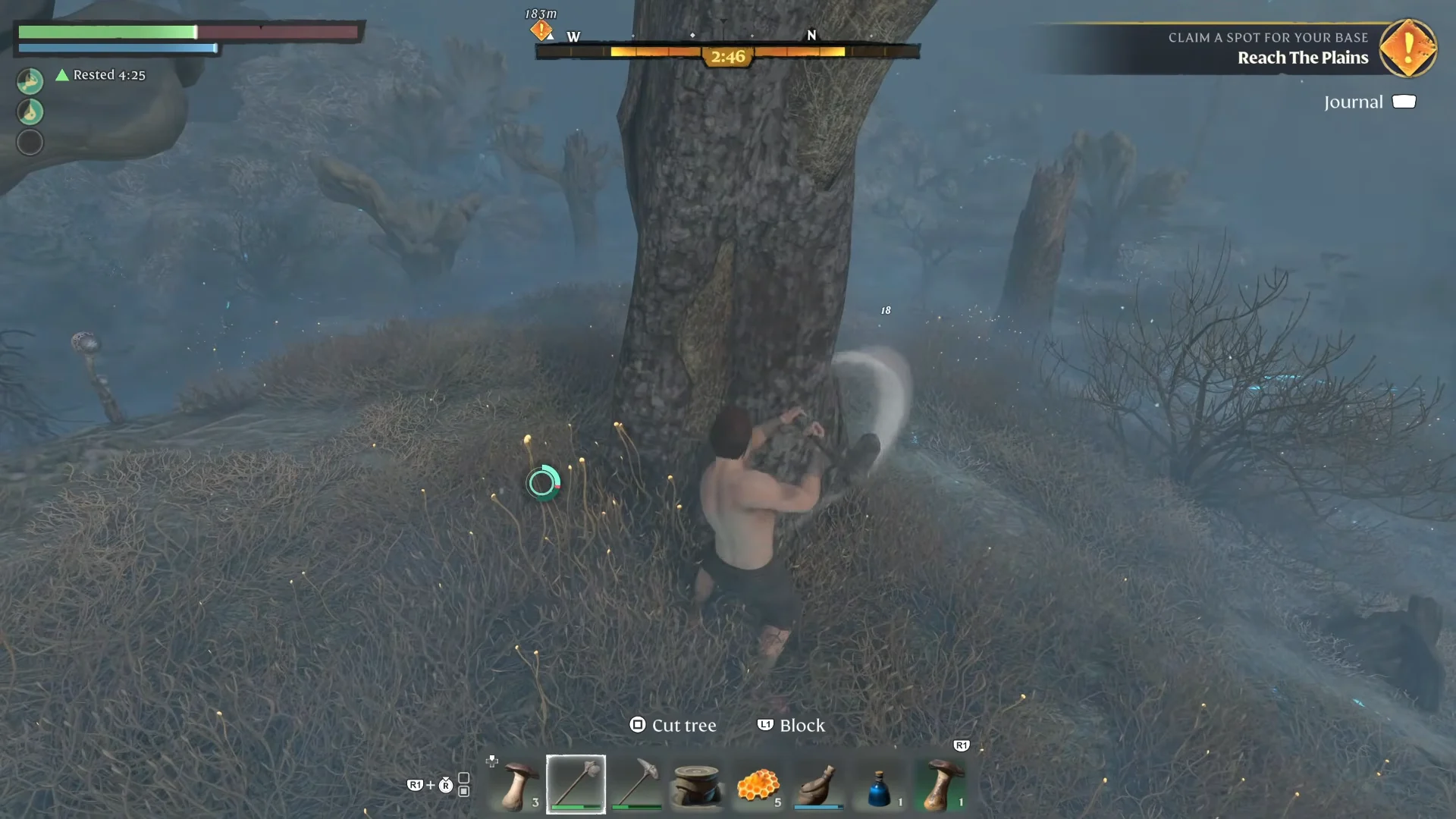 Chopping Shroud Trees & Gathering Shroud Liquid