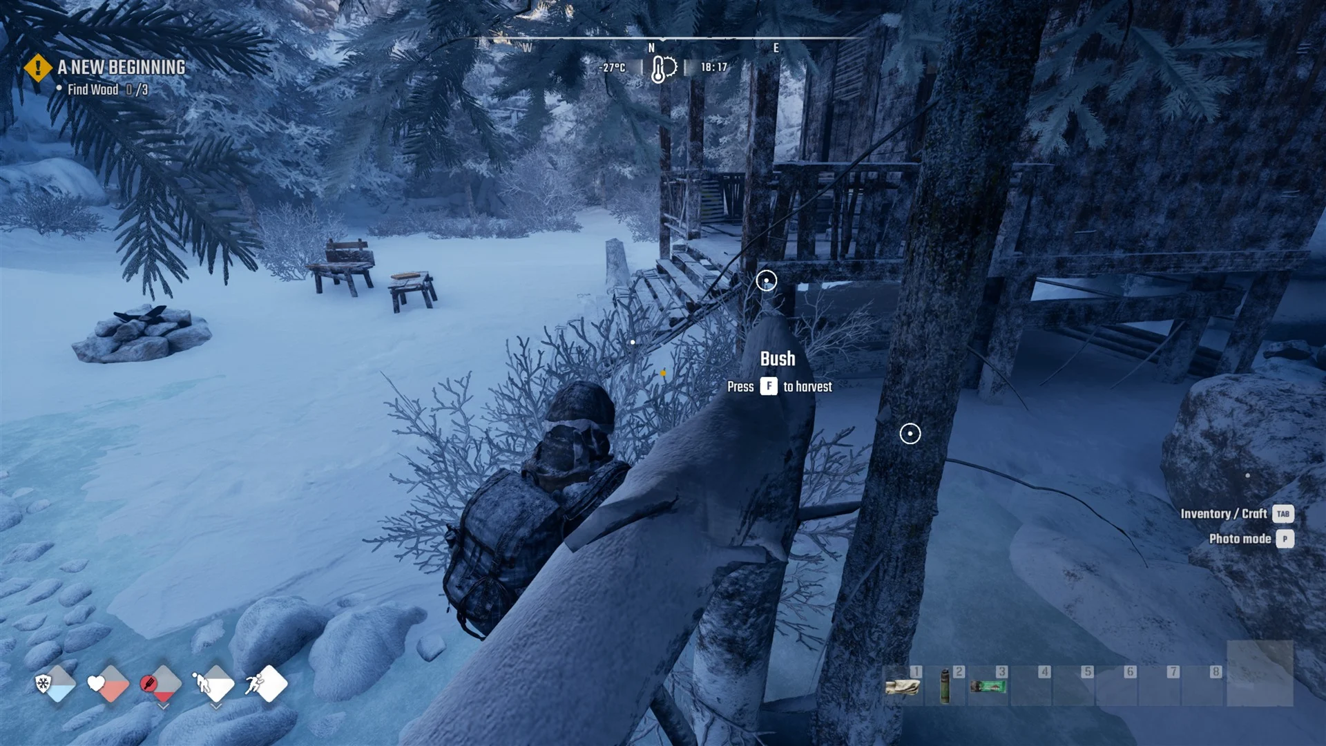 A bare bush beside the cabin stairs with the prompt Bush, Press F to harvest