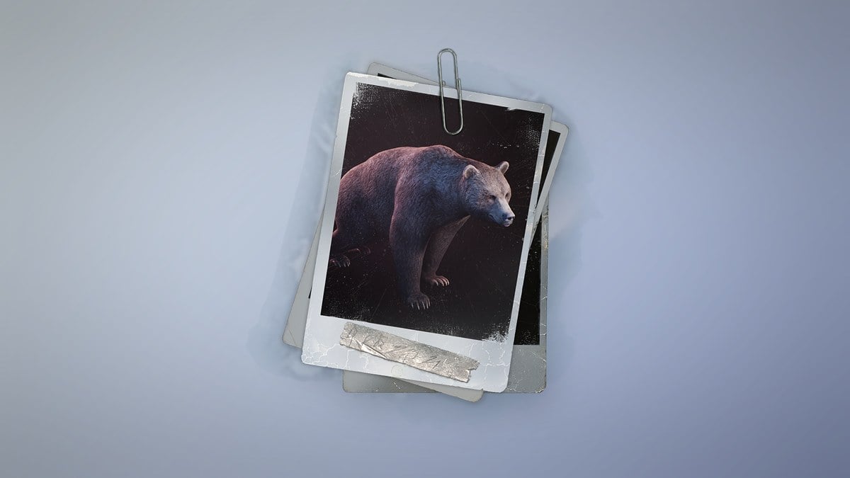 Bear in Permafrost