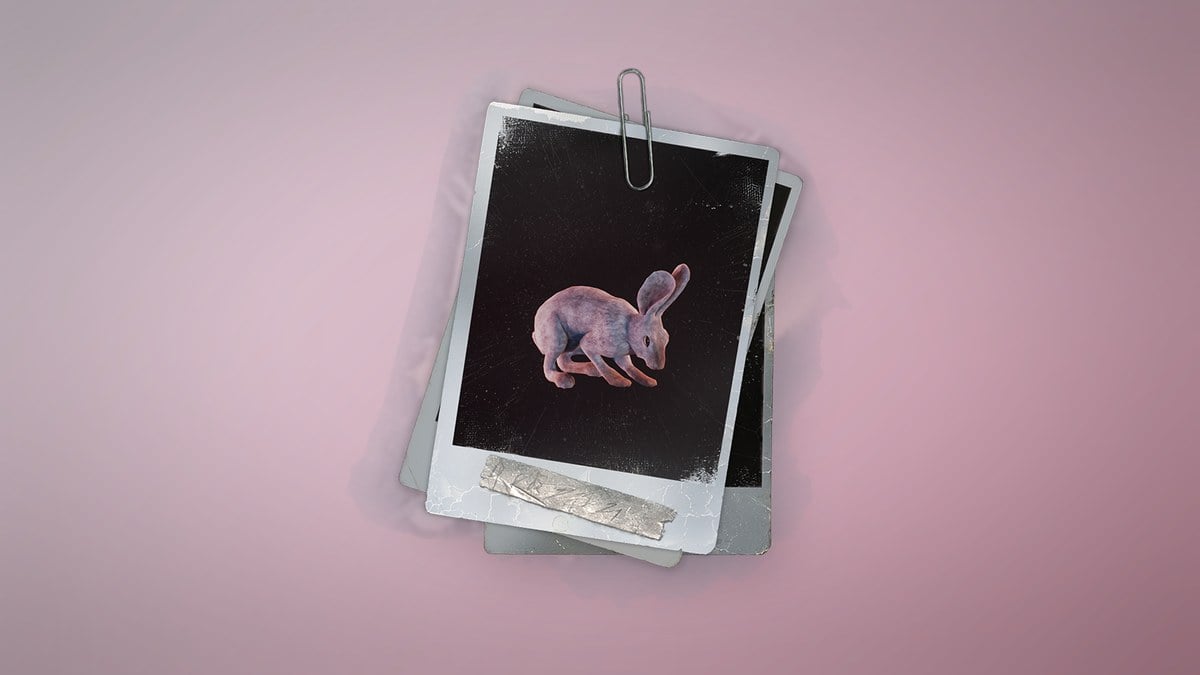 Rabbit in Permafrost