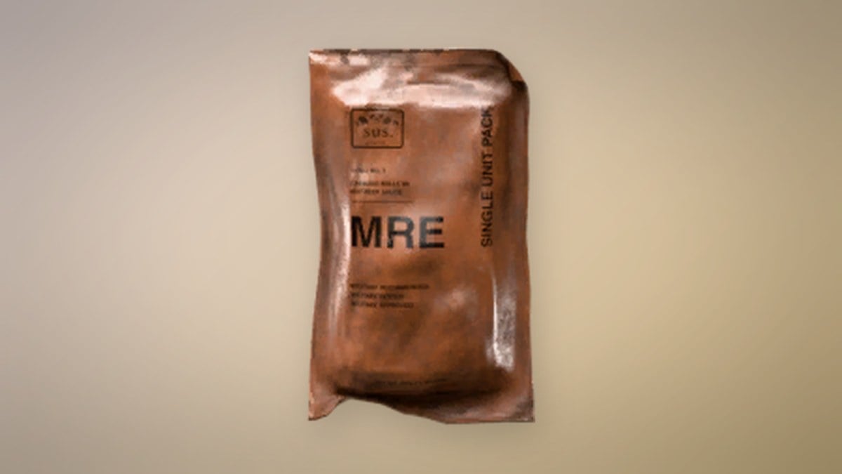 Bag of MRE in Permafrost