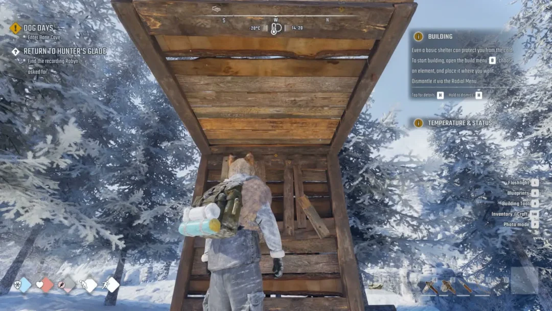 A survivor standing under a wooden roof piece hanging from a single wall in a snowy pine forest