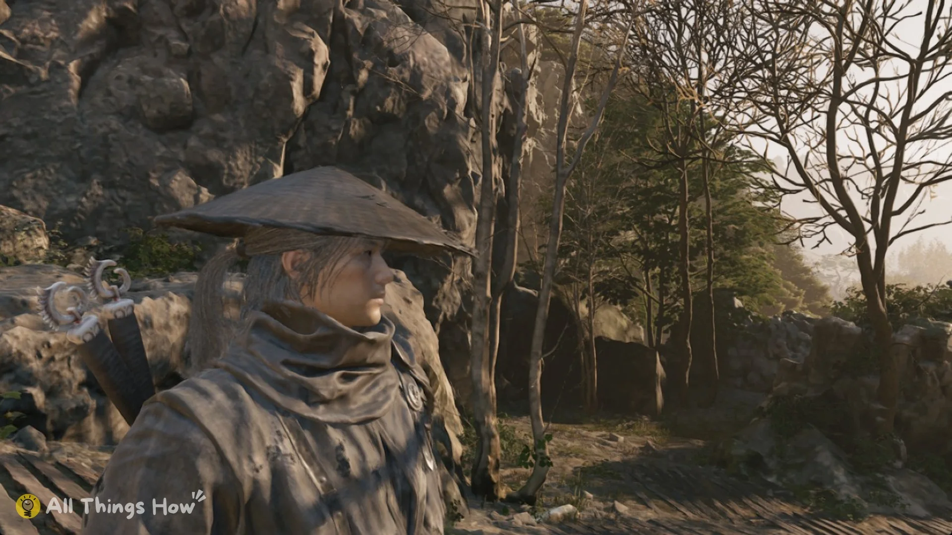 Close view of Soul in his straw hat among trees, Phantom Blade Zero