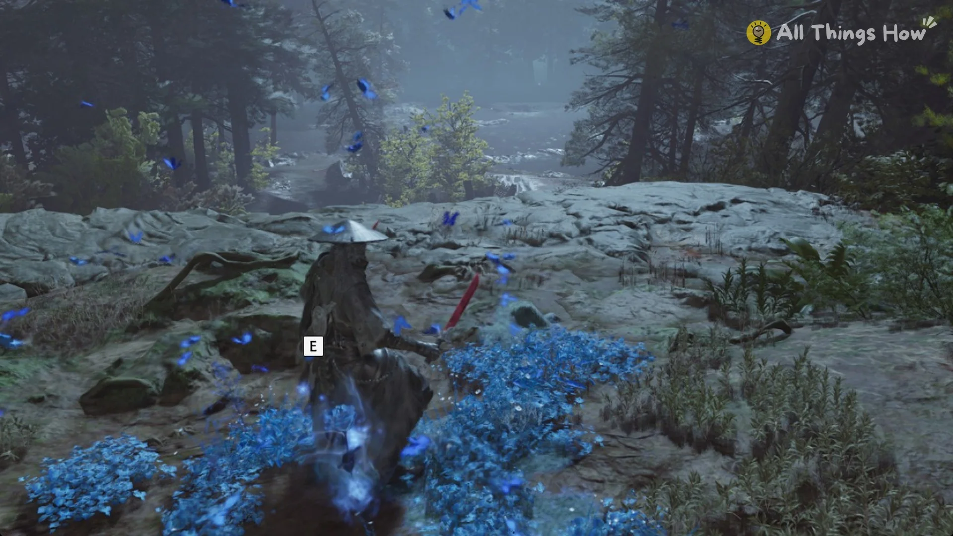 Soul at the petal IV Memory Flower bed with the E prompt, Phantom Blade Zero