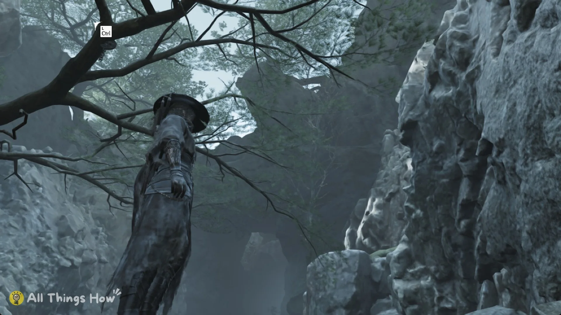 L Ctrl grapple prompt on an overhanging branch at the canyon edge, Phantom Blade Zero