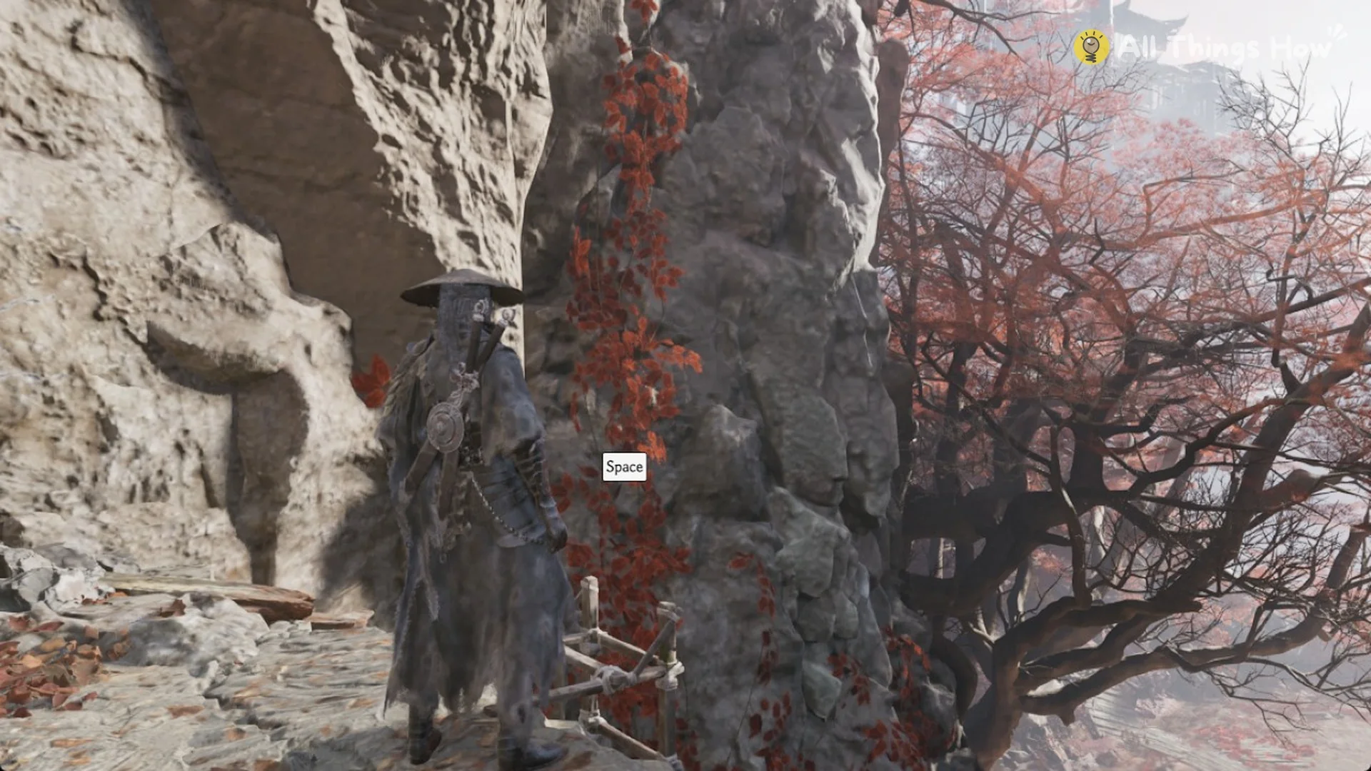 Soul at the top of the ladder beside the Mirrorwood Entrance bell with the Space prompt, Phantom Blade Zero