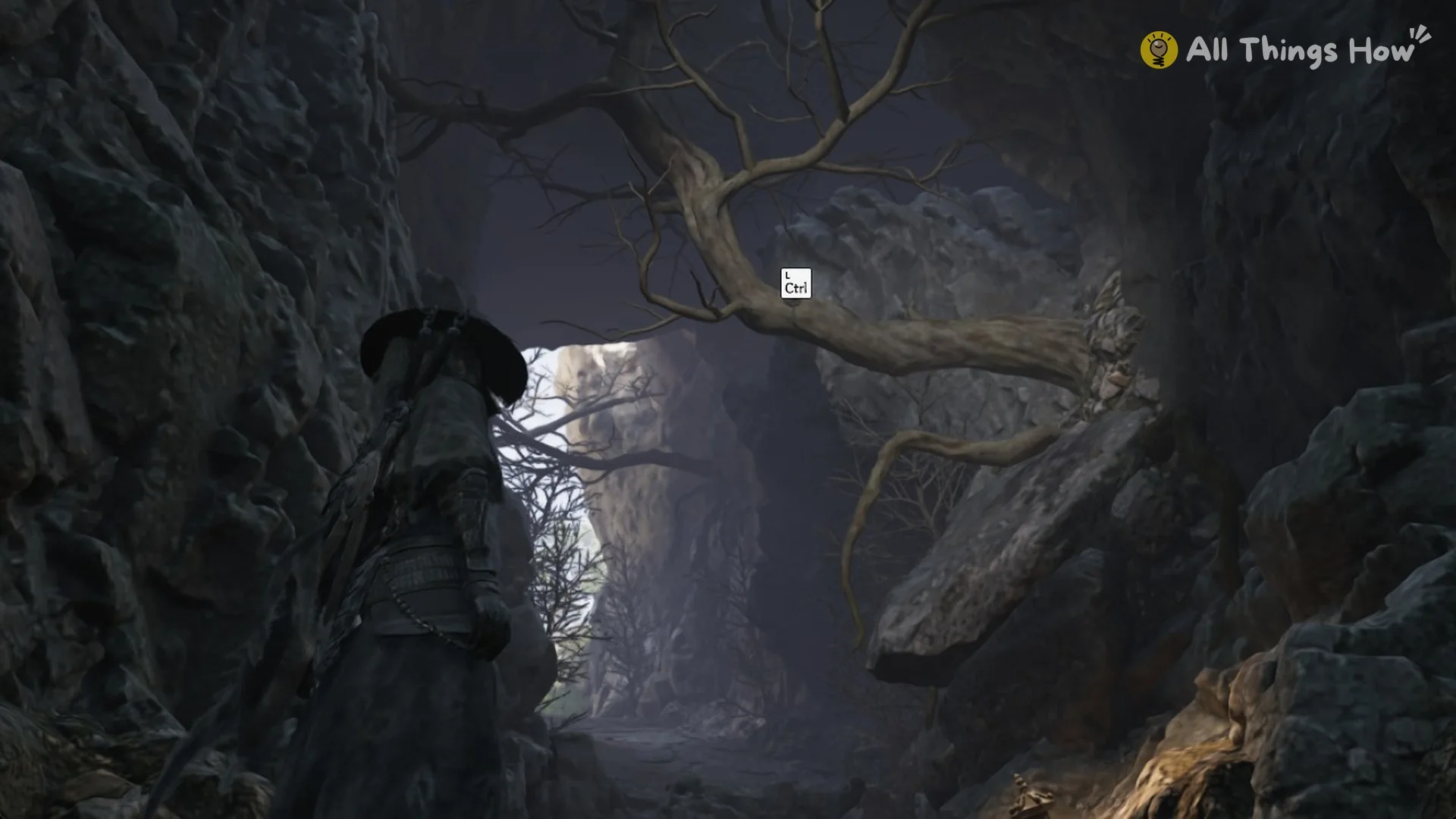 Soul in the rocky gorge looking up at the grapple anchor on an overhanging branch with the L Ctrl prompt, Phantom Blade Zero