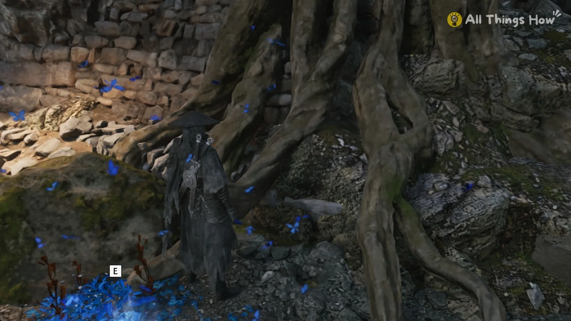 Soul at petal I of Inanis' Memory Flower at the foot of a gnarled tree beside a dry-stone wall, Phantom Blade Zero
