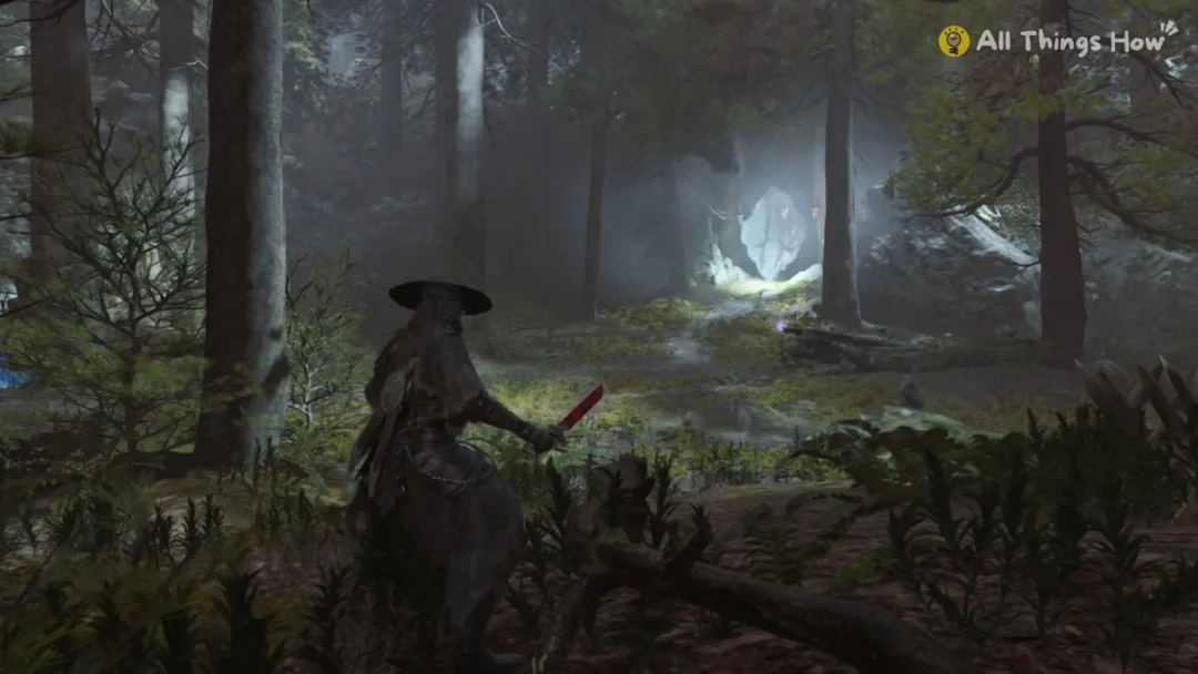 Soul in the misty Mirrorwood woods with a glowing portal among the trees, Phantom Blade Zero
