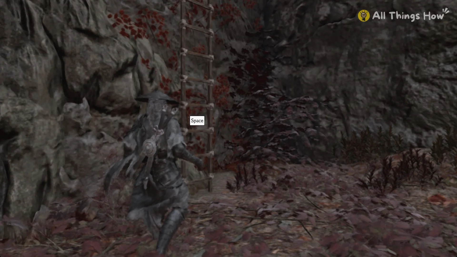 Soul at the rope ladder beside the storehouse cellar gate with the Space prompt, Phantom Blade Zero