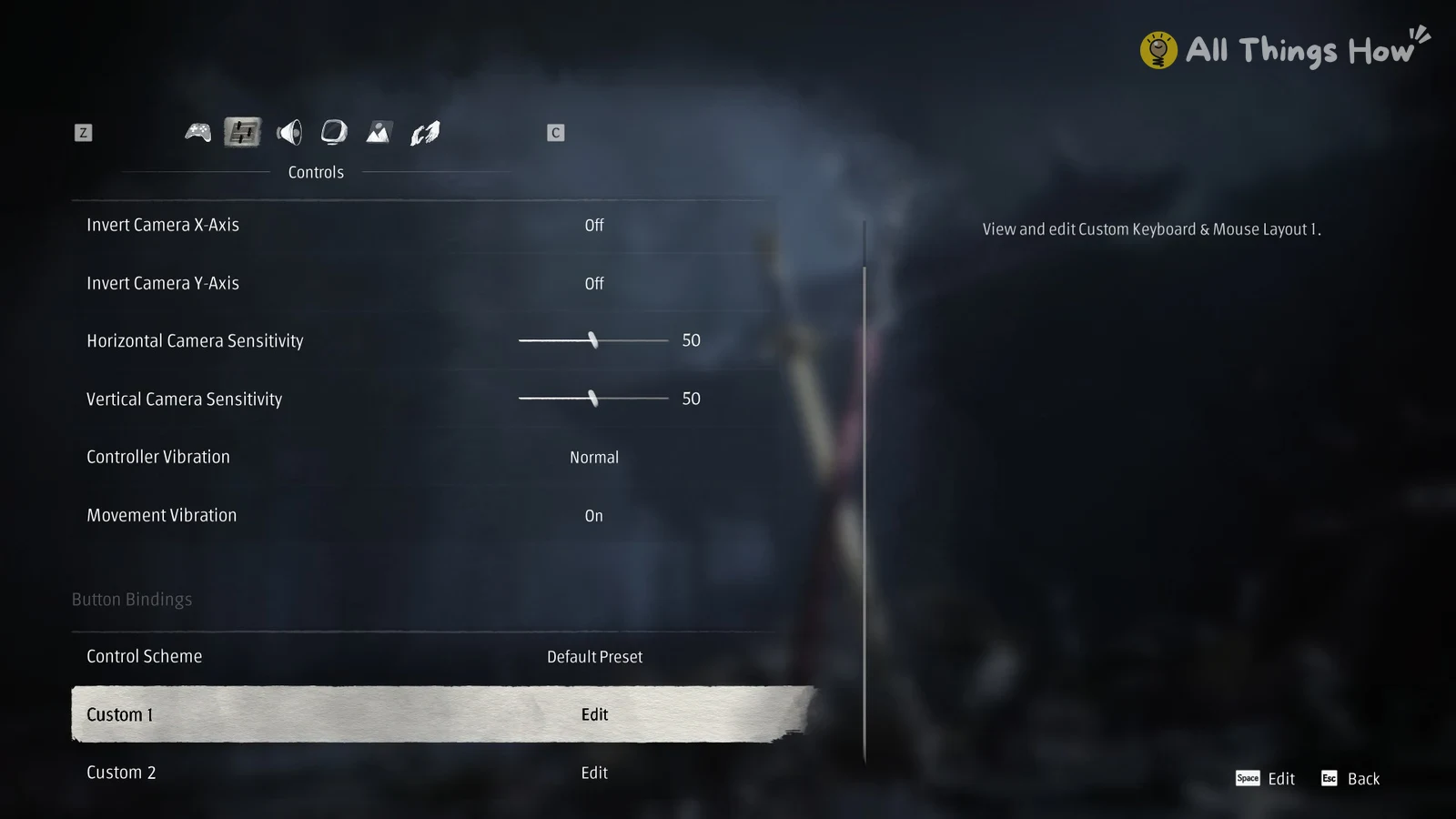 Dark settings menu with a Controls tab listing camera, sensitivity and vibration options and a highlighted Custom 1 row.