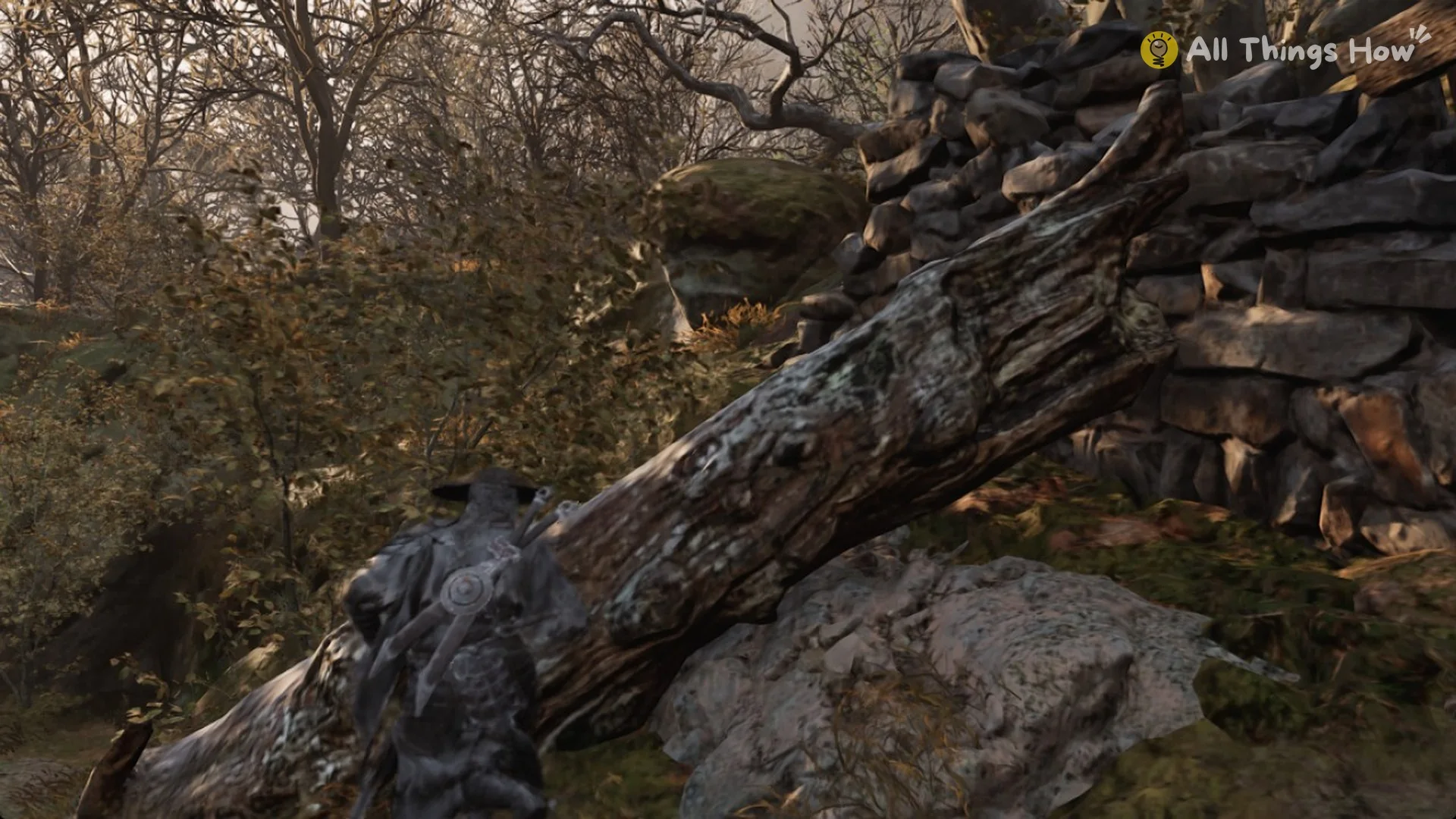 Soul beside the fallen log in the gully on the way to Zhuo Bi, Phantom Blade Zero